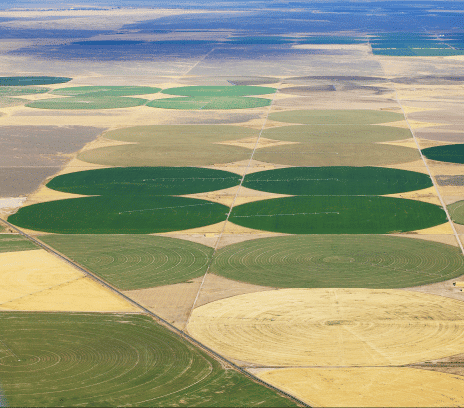 Aerial image of irrigated circular farm fields