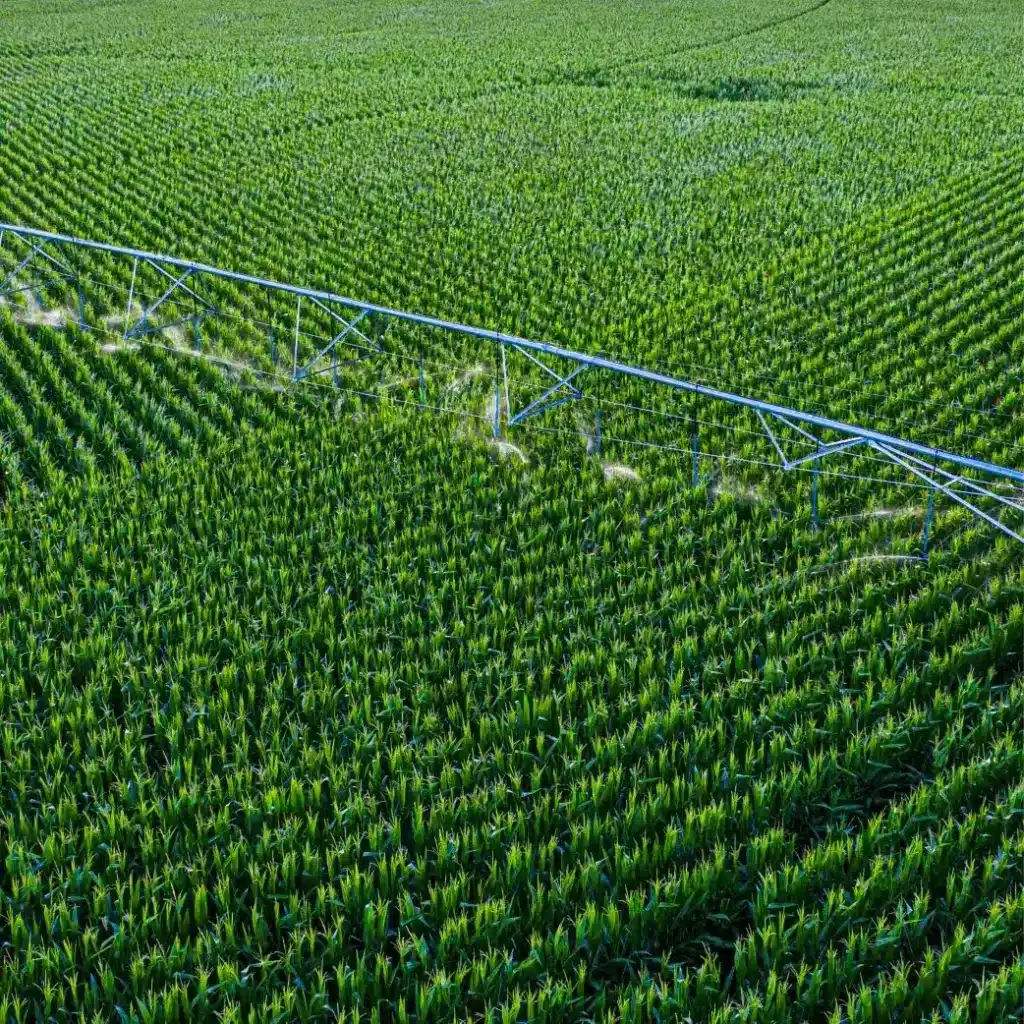 pivot irrigation in field
